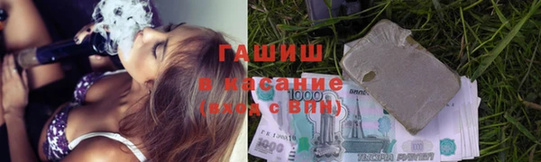 стаф Пересвет