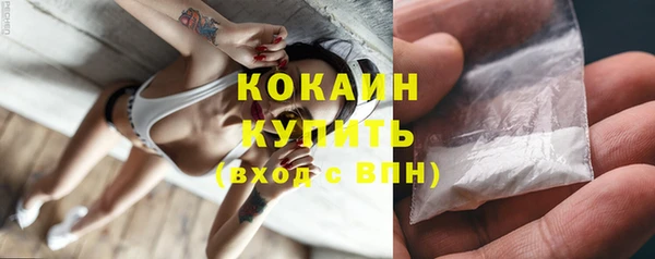 стаф Пересвет