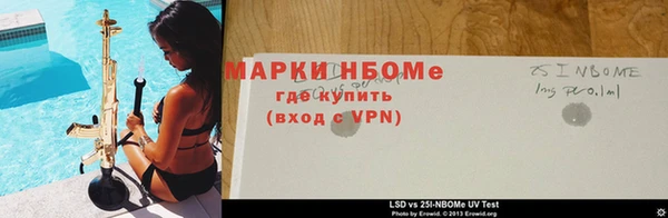 стаф Пересвет