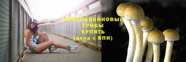 стаф Пересвет