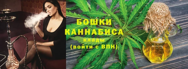 тгк Новозыбков