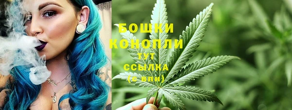 стаф Пересвет