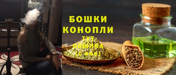стаф Пересвет