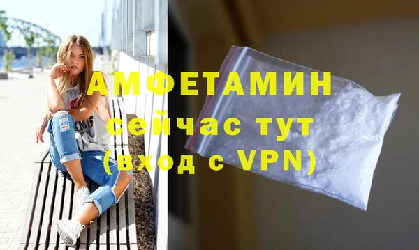 стаф Пересвет