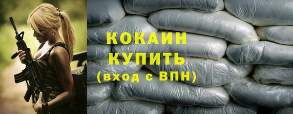 стаф Пересвет