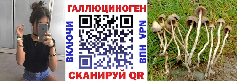 Псилоцибиновые грибы ЛСД  Ессентуки 