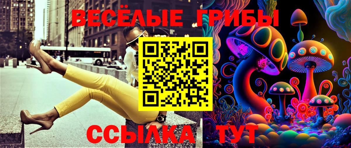 Псилоцибиновые грибы Cubensis  где продают наркотики  Псилоцибиновые грибы Cubensis  Ессентуки 