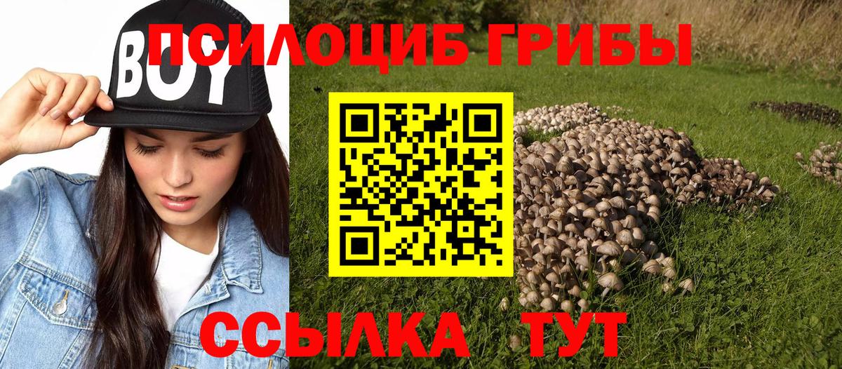 Псилоцибиновые грибы ЛСД Ессентуки