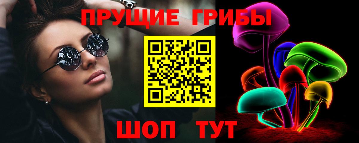 Ессентуки  Псилоцибиновые грибы GOLDEN TEACHER  Вход с VPN 