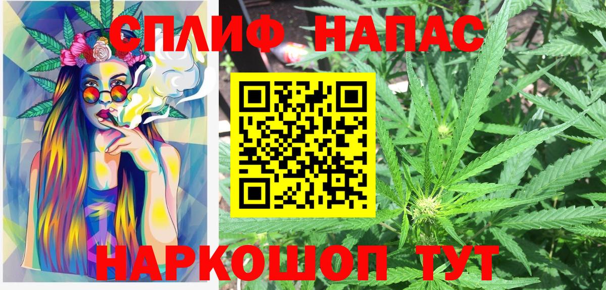 Бошки Шишки OG Kush  Шишки марихуана OG Kush  Бошки марихуана план  Бошки марихуана AK-47  Ессентуки 