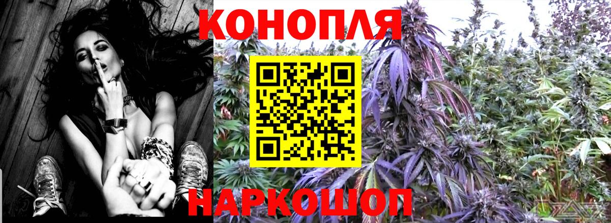 Бошки Шишки планчик  Вход с VPN  Канабис MAZAR  Марихуана сатива  Ессентуки 